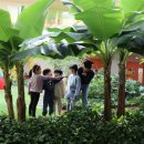 포스코어린이집 이미지