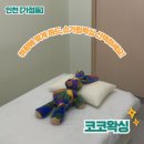 6932 | 하드왁싱, 슈가링왁싱 선택할 수 있는 왁싱샵 추천 코코왁싱 브라질리언왁싱 후기 가격정보 주차정보