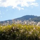 가산수피아 이미지