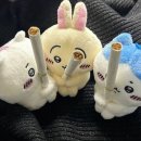 쥬땜므