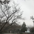 월출산국립공원 천황사야영장 이미지