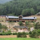 삼척활기자연휴양림 이미지