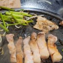 돼지세끼 이미지