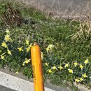 세븐일레븐 고흥등암점 이미지