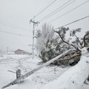 솔안경로당 이미지