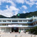 야생화마을 추리본부 이미지