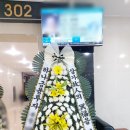 광주정품화환배달 이미지