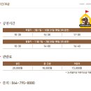 태왕상회 | 제주도 서쪽 가볼만한곳 세계 최대 기마공연감상 후기 :: "더마파크"(카트체험장,승마체험장,라온공연장)