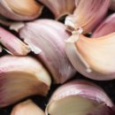 기동농장 이미지