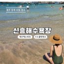 신흥비치 | 제주 신흥해수욕장 수심·물때·방사탑·스노쿨링·주차 정보 총정리