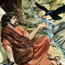 새일초교 이미지