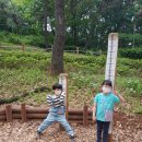 논현중앙근린공원 이미지