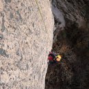 비둘기길 이미지