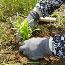 곡성-153 이미지