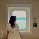 씨스타1호 | 울릉도 가는 방법 후포항 ↔ 사동항 썬플라워 크루즈 2인침대객실 창측 매점 배탑승 가격 후기