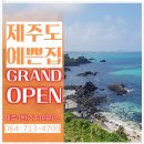 제주1번가더테라스 GRAND OPEN ^^* 포스코건설이 전세대 평생 테라스 조망권 주는 ~ 제주일번가 어디? 이미지