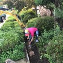 외서초등학교 이미지