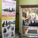 에덴미어캣프랜즈 이미지