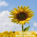 (주)성실솔루션 이미지