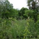 고흥읍 흥양길 이미지