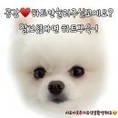 190 bar 이미지