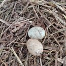 별이네농장 이미지