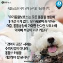 가야약국 이미지