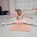 유아 발레 | 파주발레학원 춤담무용학원 GTX점 유아발레 후기