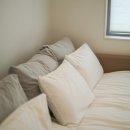 뜨레시옷 이미지