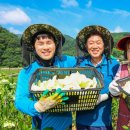 오선농장 이미지