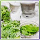 하나로드림(주) | 일상드림 자동야채탈수기 솔직 후기 물기 제거 90% 진짜 가능할까?