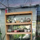 계림꽃농원 이미지