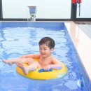 센토르7 이미지