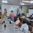 대엽풍란 분경 이미지