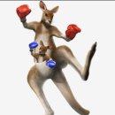 천만농장2 | 27.9세의 혼자 떠난 호주여행 (2)_시드니#2 // PJ 페더데일 오픈런 후기