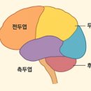 [6~7세] 놀이로 배우는 수학 이미지