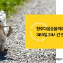 24시청주다옴동물의료센터 이미지