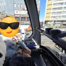 서울시티투어버스(주) | 7살 아들과 서울시티투어 버스 후기