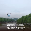 샤이닝모텔 | 2026 담양 대나무축제 기본정보 기간 주차장 초청가수 프로그램