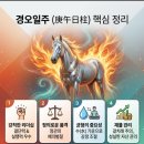 김정문알로에정관신도시점 | 뜨거운 불길 속에서 단련된 보석, 경오일주(庚午日柱)의 품격과 반전 매력