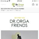 올가프렌즈