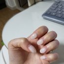 [원주일상] 반곡동 내돈내산 유지력 미친 네일맛집, 뿌르유네일 (재방문 후기)