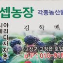 덕정텃밭쌈밥식당 이미지