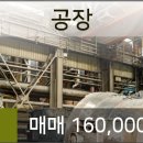 장현서울의원 네이버블로그