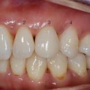 함초롬치과의원 이미지