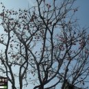 주공아파트 이미지