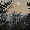 낭만닭발(월피점) 이미지