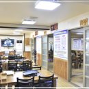 벌떡 장어 이미지