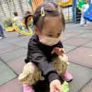 미래키즈어린이집 놀이터 이미지