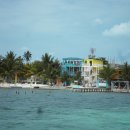 임선농장 이미지